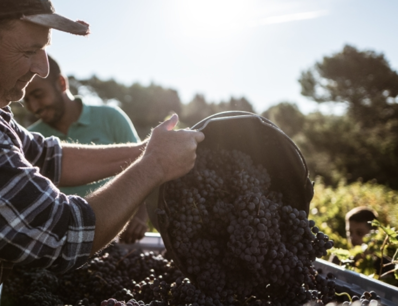 Où acheter un pack de bières IPA houblonnées à Aix-en-Provence 13100 ?