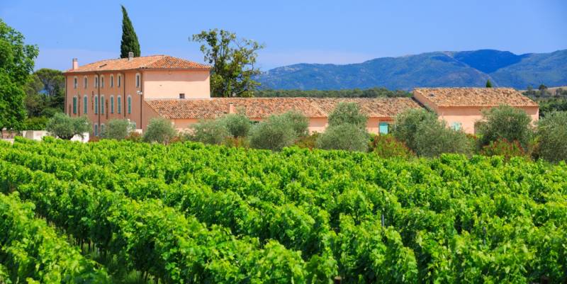Les vins d'exception du Château Paradis à retrouver à La Grande Cave