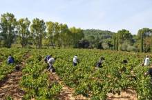 Vente de fromages et chacuteries à Aix-en-Provence 13100